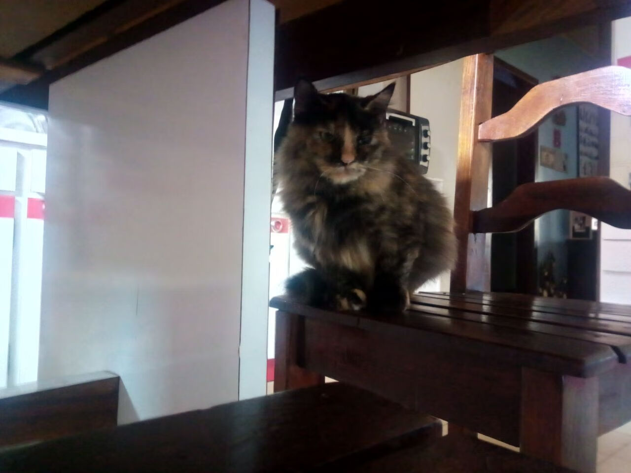 《虚拟偶像助阵:电竞比赛引入新元素》,虚拟 偶像