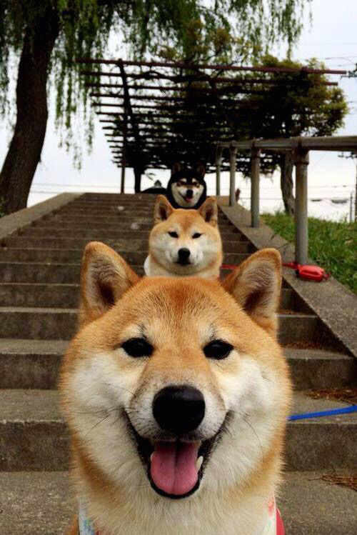 大型夜光水上摩托表演，灯火辉煌中的极速狂飙，水上摩托长啥样