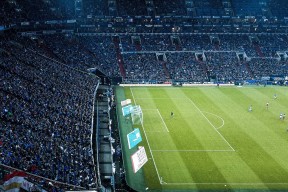 开云体育官方网入口-体育新闻中心发布全国体育法律培训基地申报须知，体育培训监管