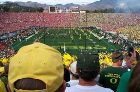 开云集团中国官网-“阿根廷美洲狮队：橄榄球冠军锦标赛的强力黑马”