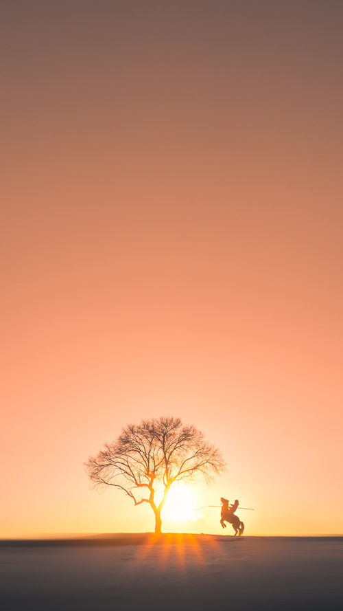 世界铁人三项倒计时赛,速度、耐力与毅力的极致展示,世界铁人三项标准