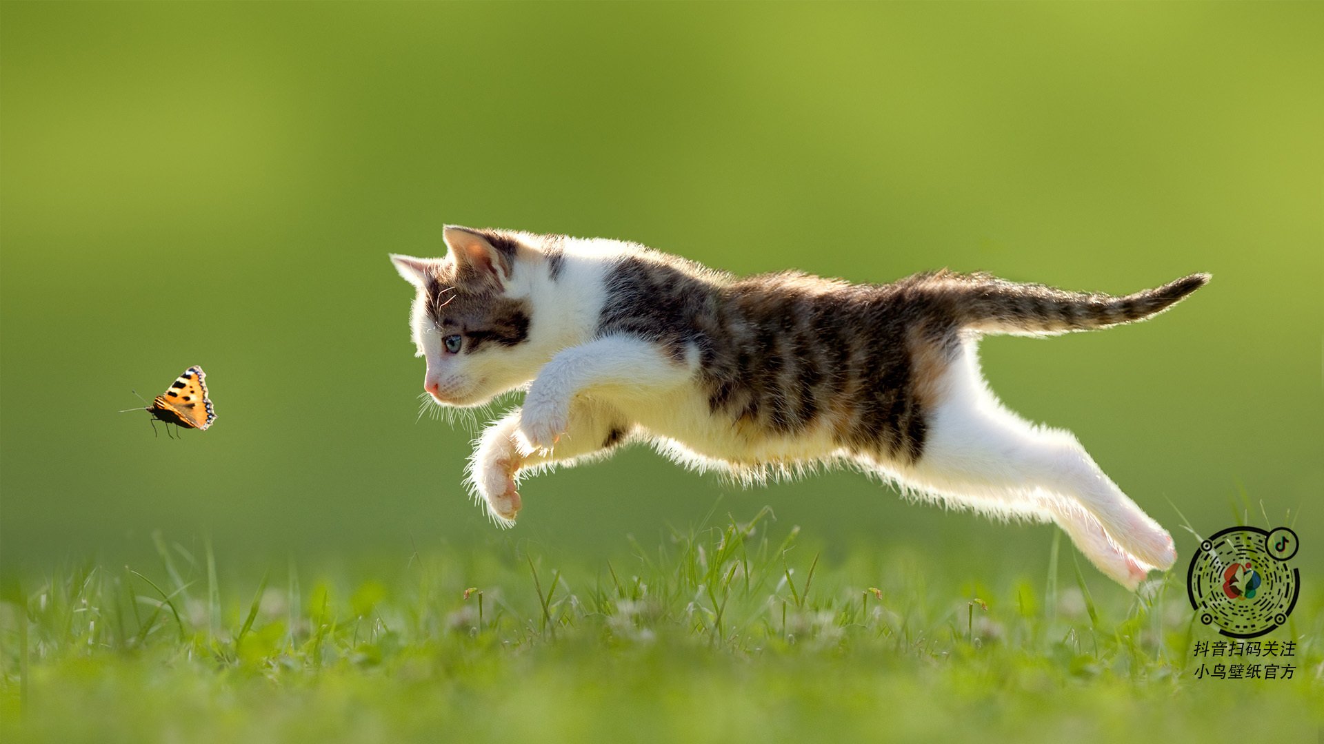 一带一路背景下中国篮球的国际合作新机遇